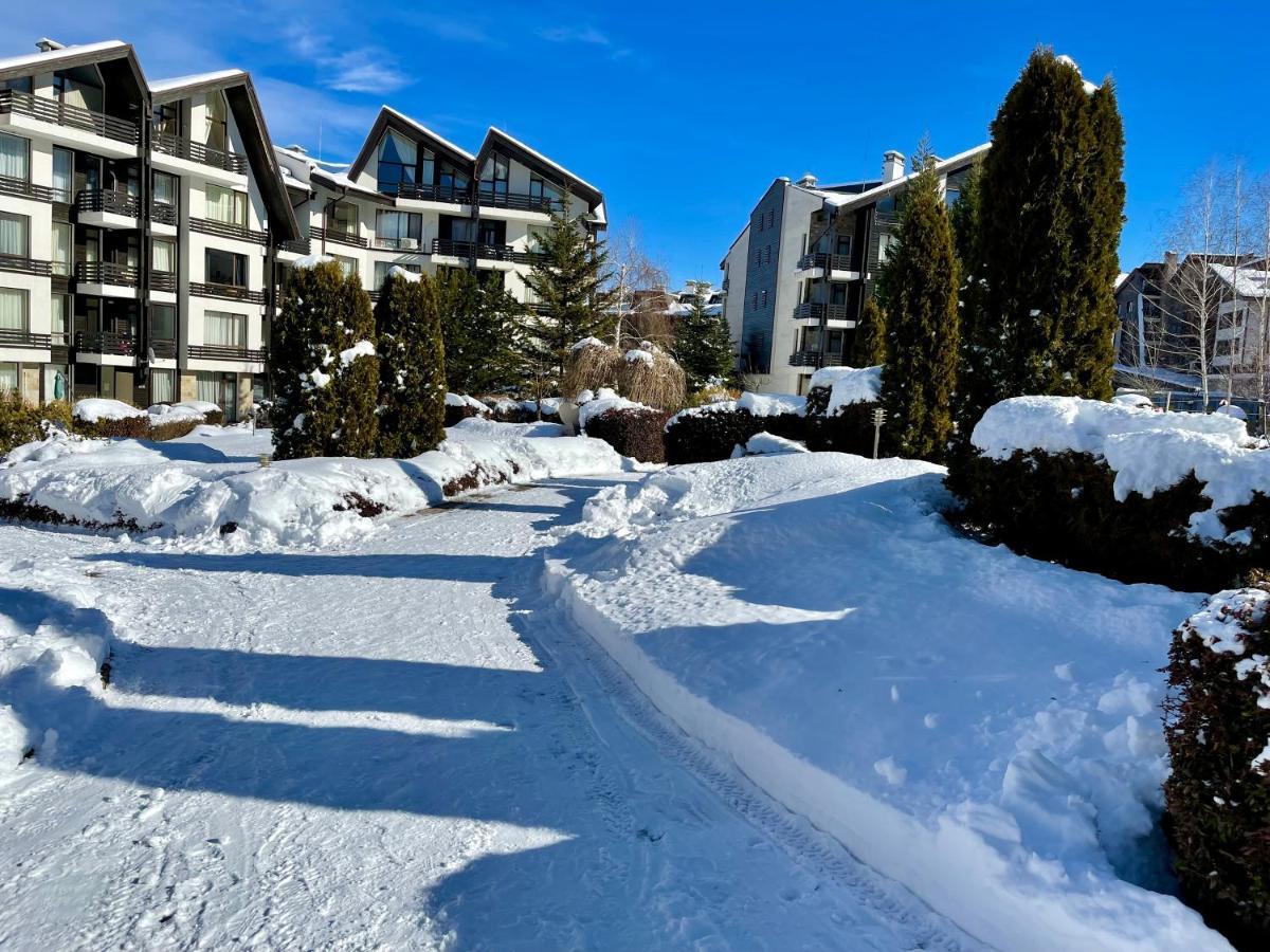 Pirin Dream View Apartment