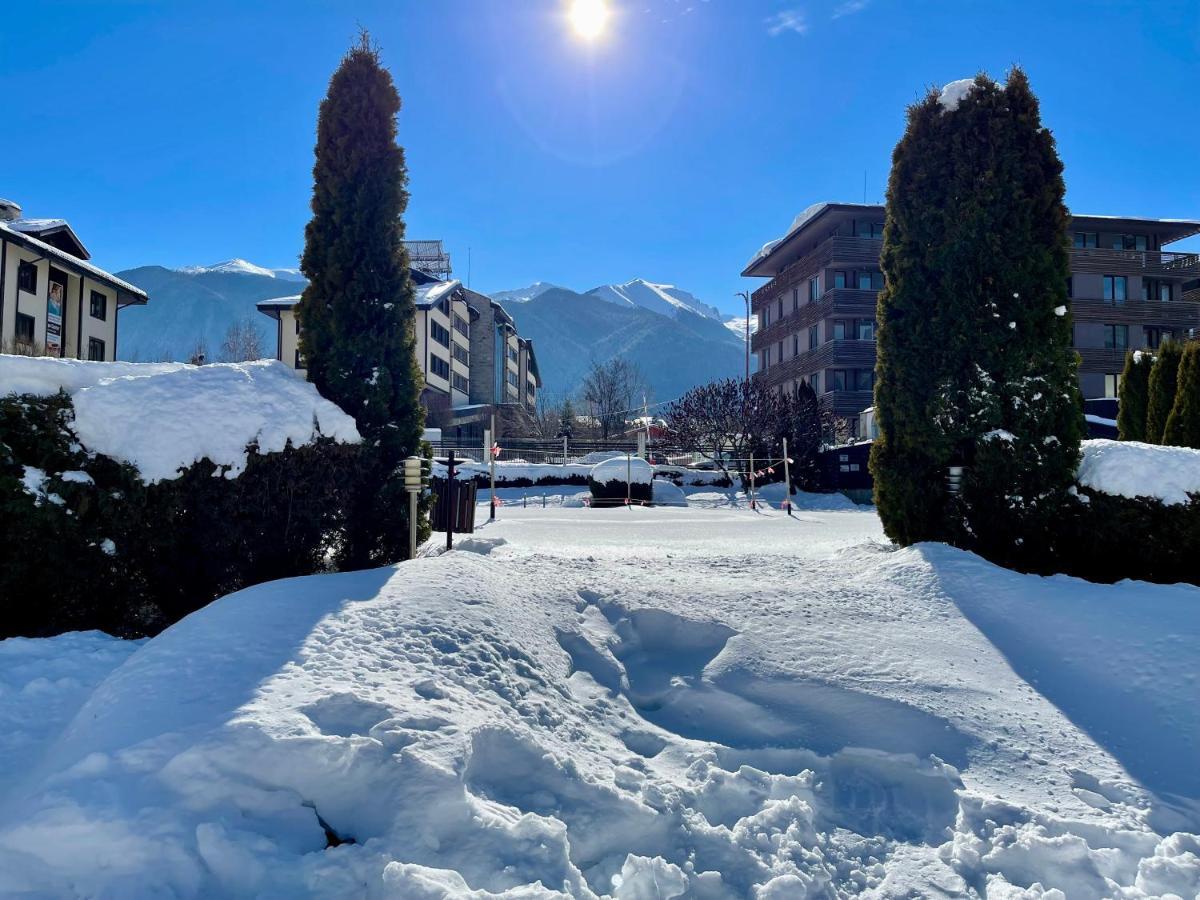 Pirin Dream View *